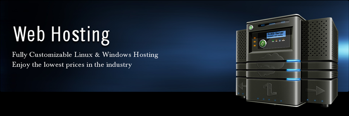 Web Hosting